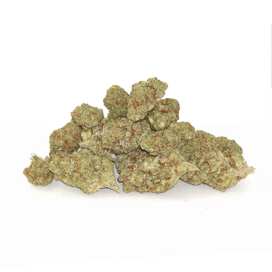 Bulk Flower - Gelatti