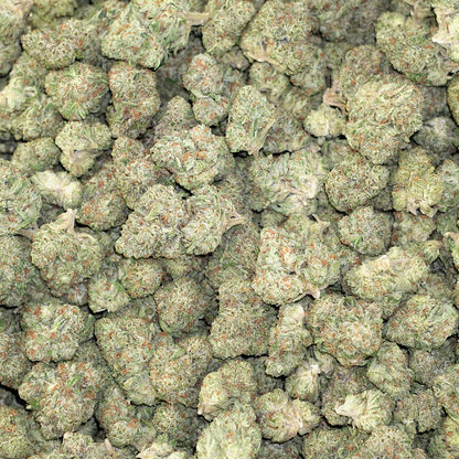 Glitter Bomb