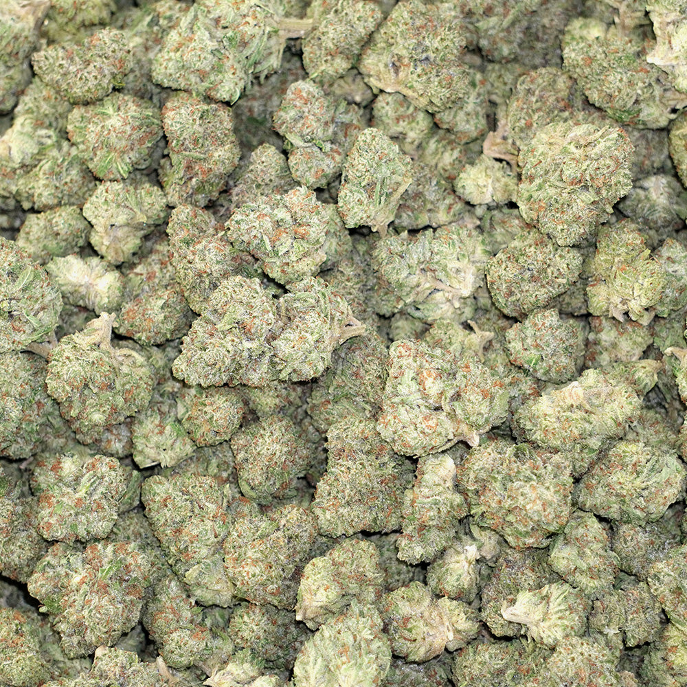 Bulk Flower - Glitter Bomb