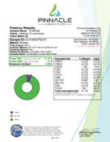 Glitter Bomb