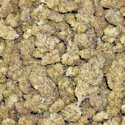 Bulk Flower - Hash Burger