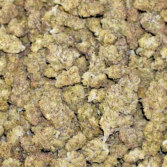 Bulk Flower - Hash Burger