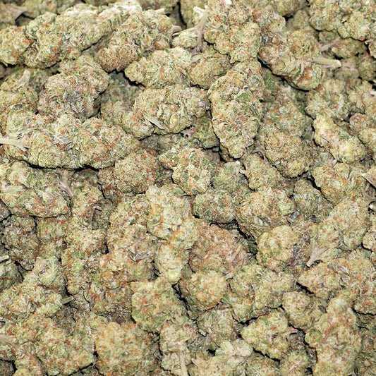 Bulk Flower - Horchata