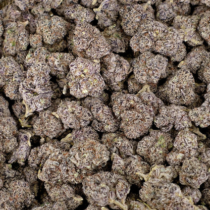King Louie