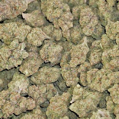 La Bomba