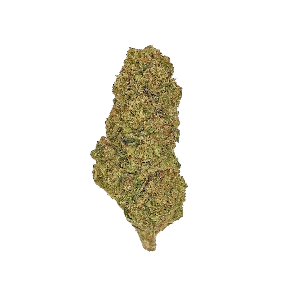 La Bomba