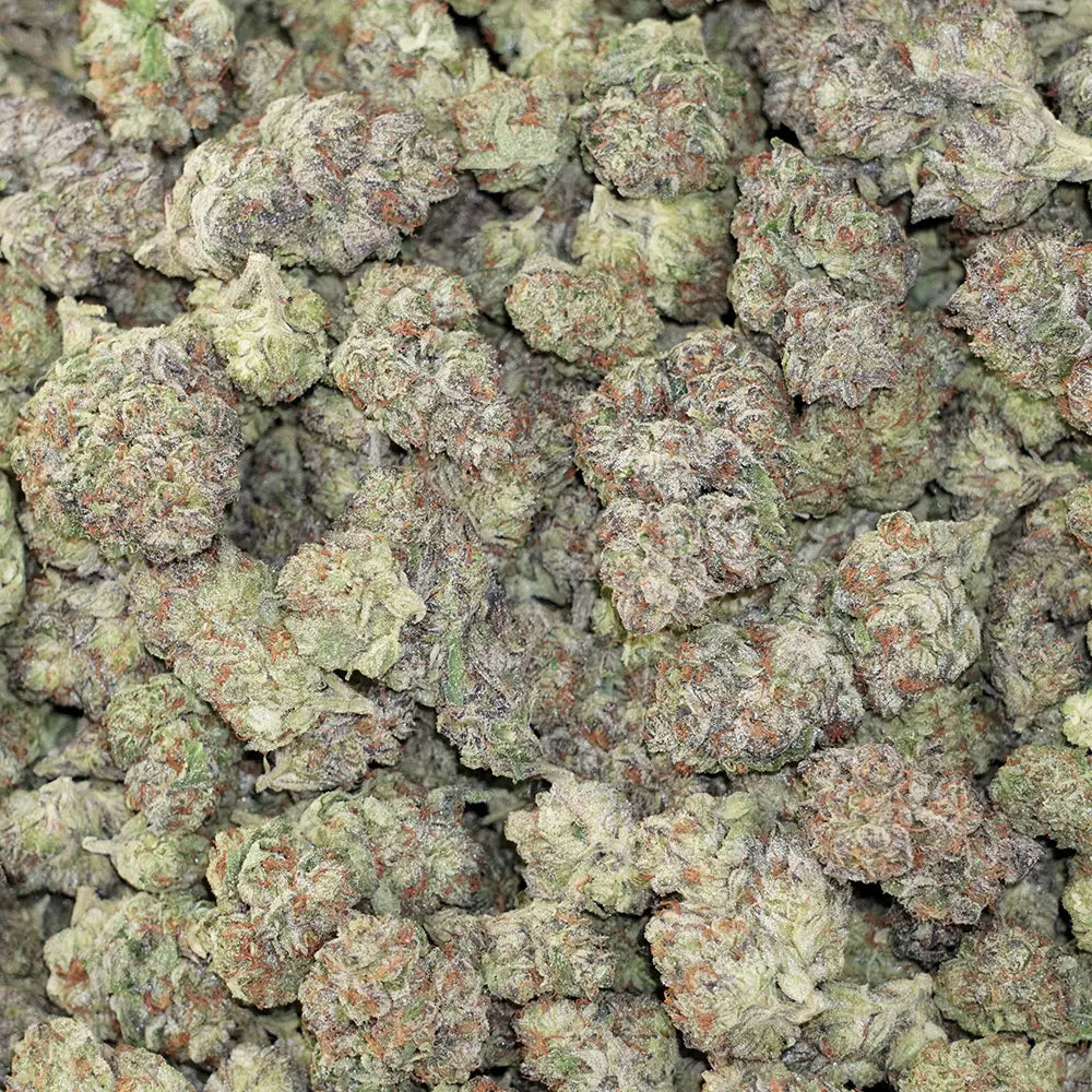Bulk Flower - London Poundcake