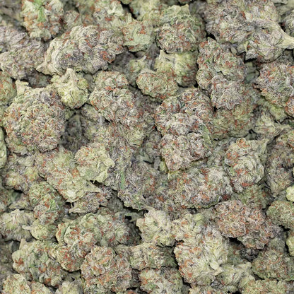 Bulk Flower - London Poundcake