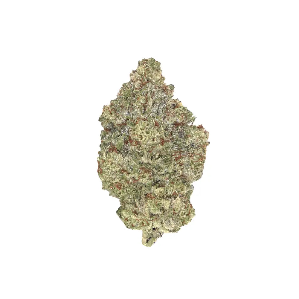 Bulk Flower - London Poundcake