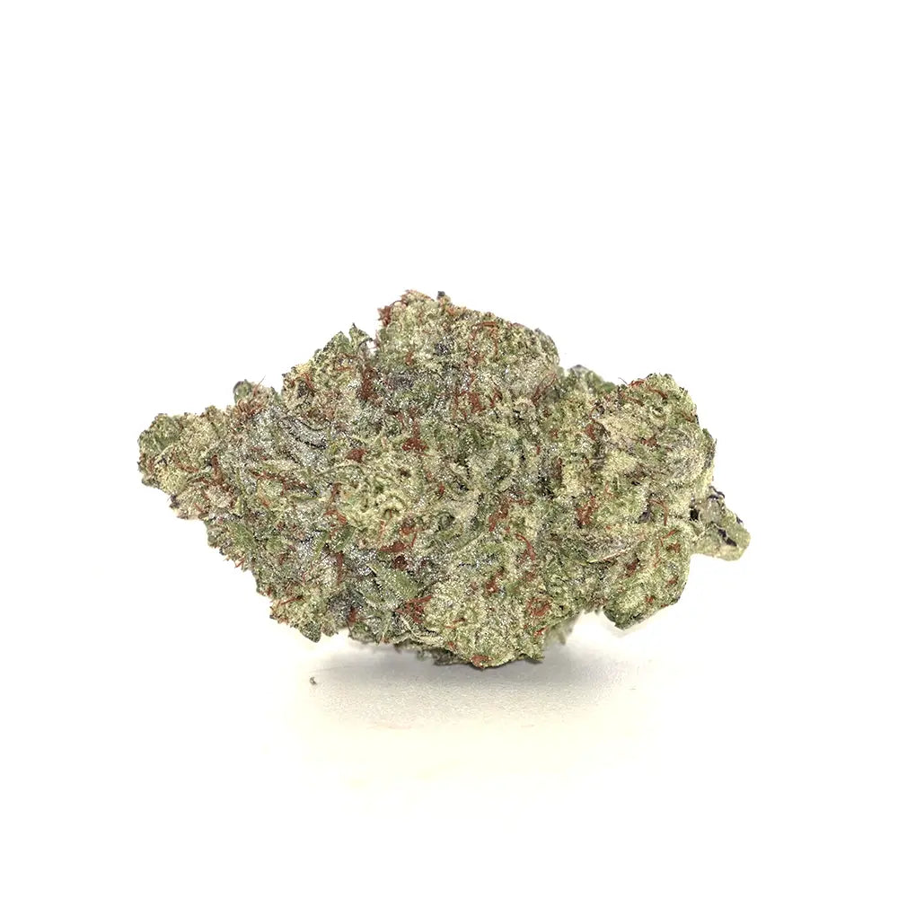 Bulk Flower - London Poundcake