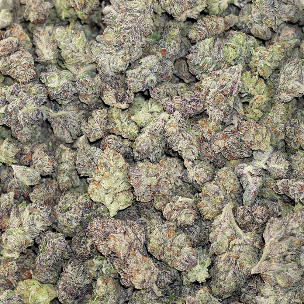 MK Ultra