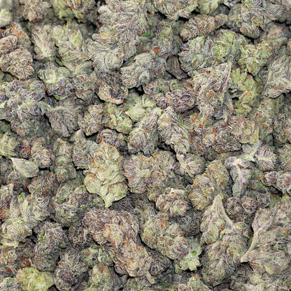 MK Ultra