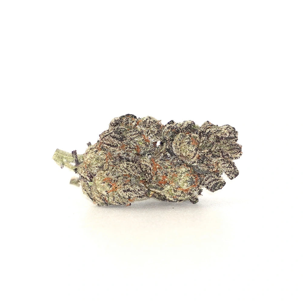 MK Ultra