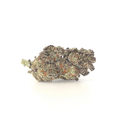 MK Ultra