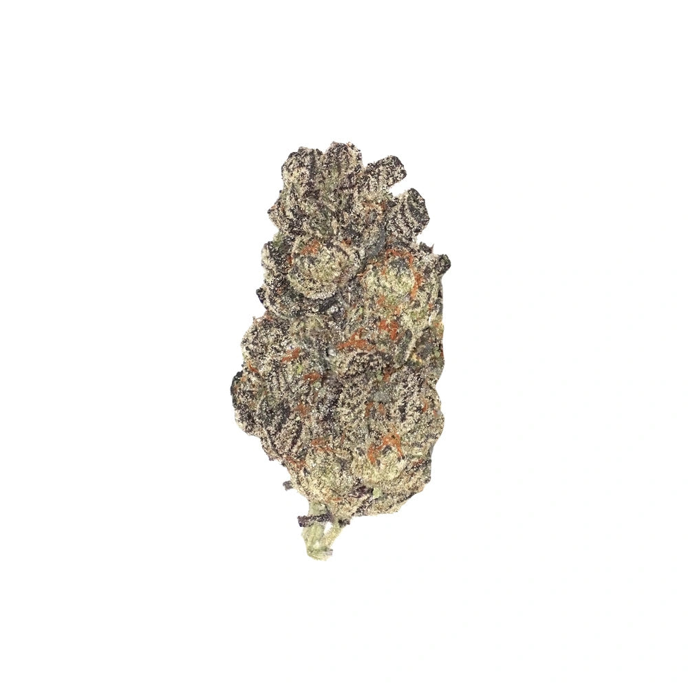 MK Ultra