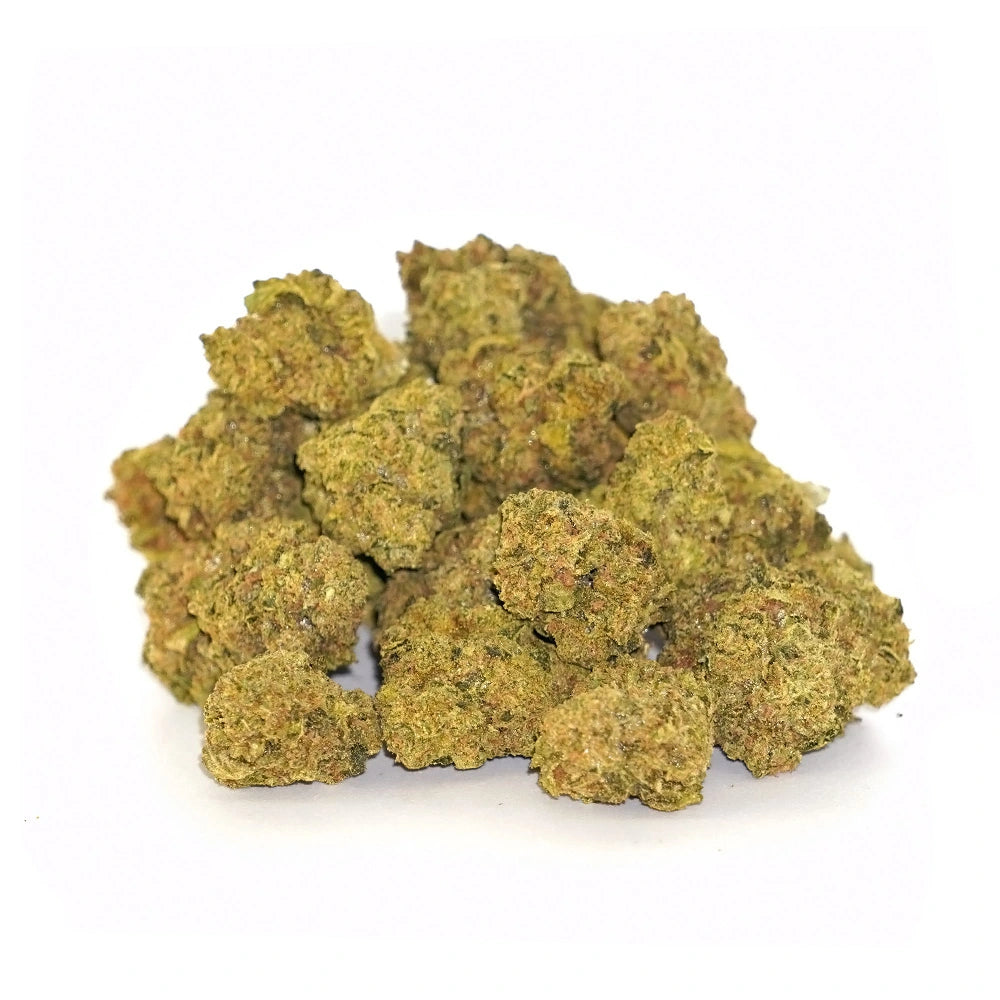 Bulk Flower - Marmalade