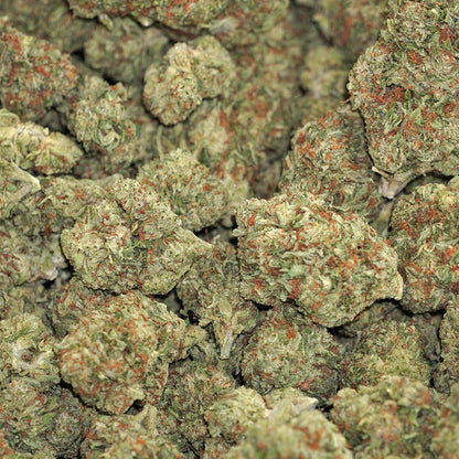 Obama Kush