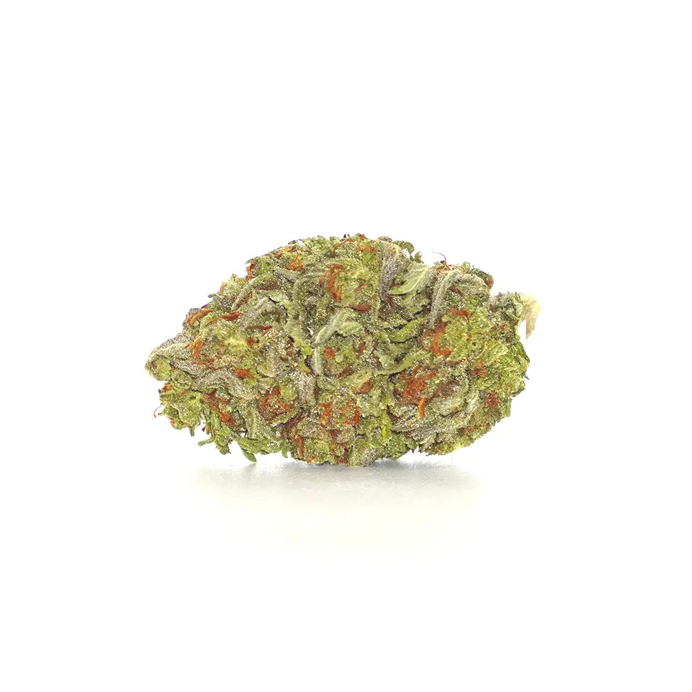Papaya
