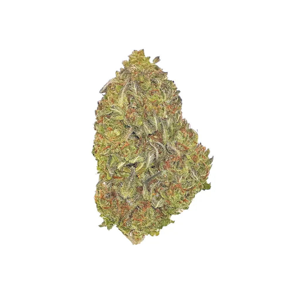 Papaya
