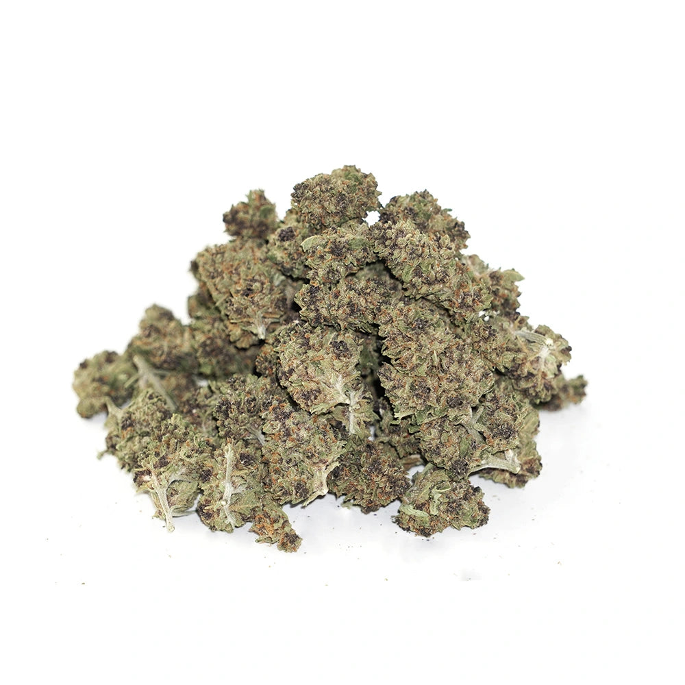 Purple Mimosa - Smalls