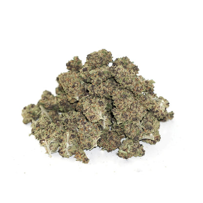 Purple Mimosa - Smalls
