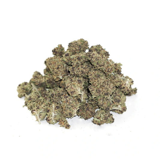 Purple Mimosa - Smalls