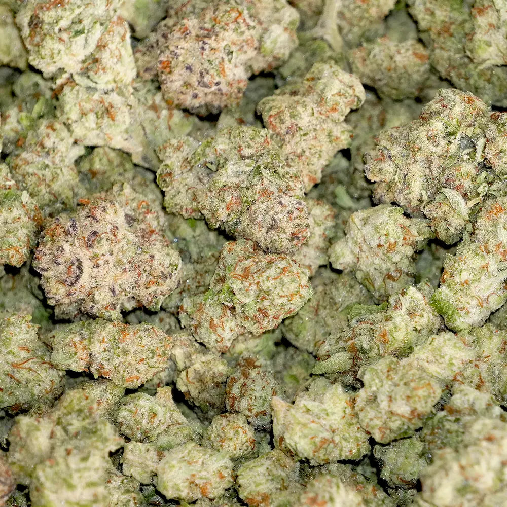 Bulk Flower - Purple Punch