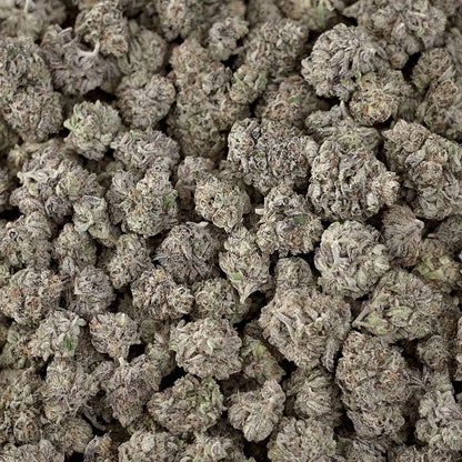 Samoas