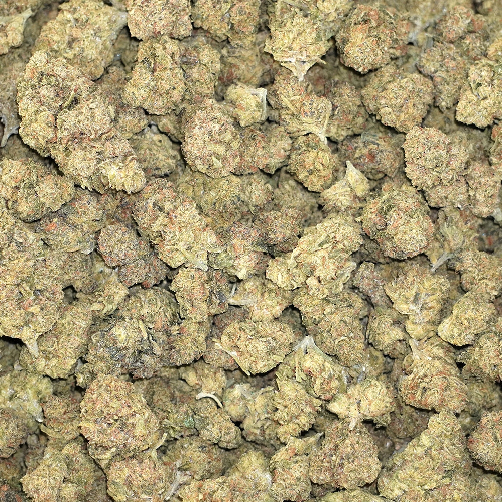 Bulk Flower - Specimen X