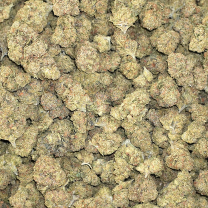 Bulk Flower - Specimen X