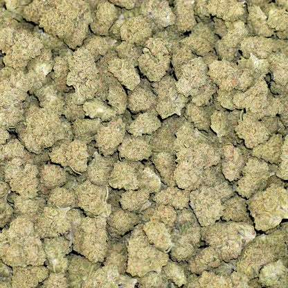 Bulk Flower - Street Tartz