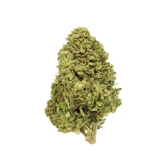 Tangie Jack