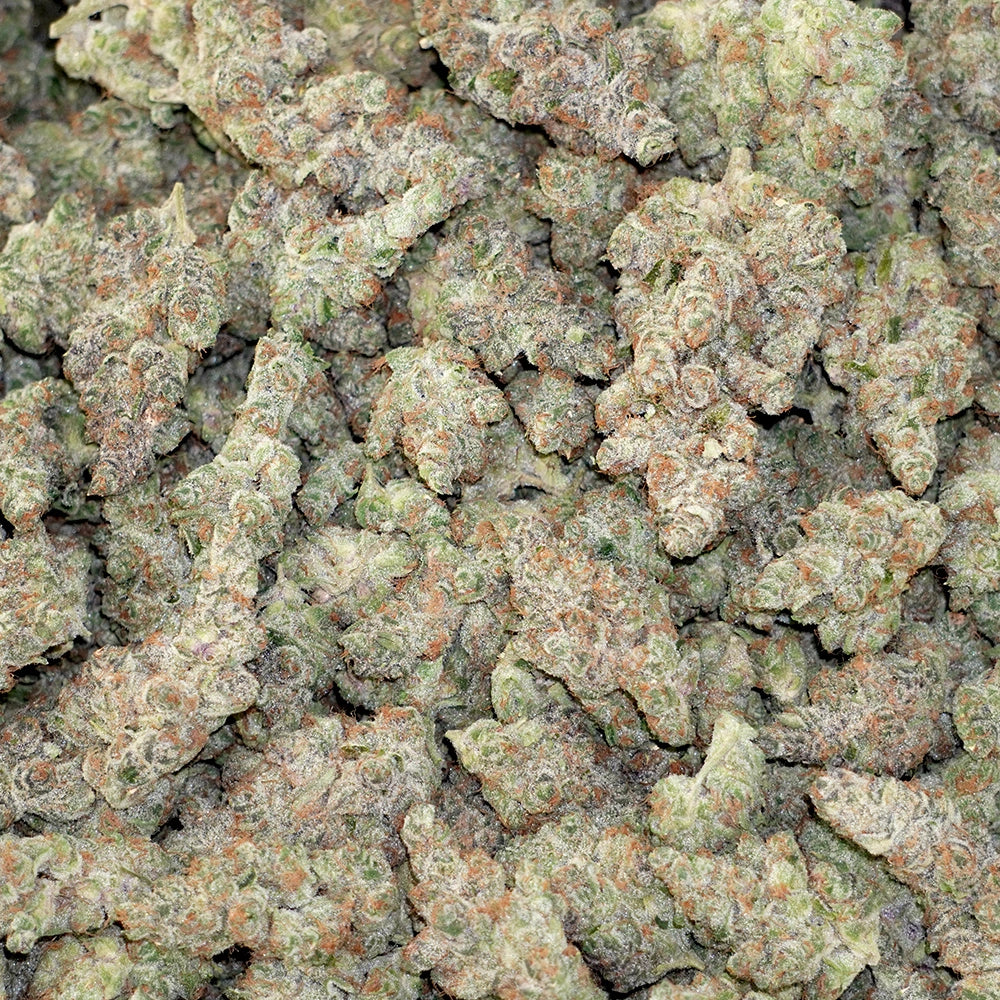 Bulk Flower - Tropicana Cookies
