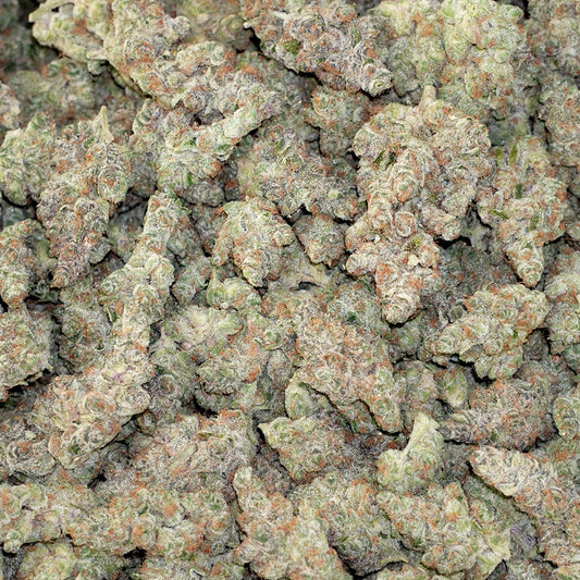 Bulk Flower - Tropicana Cookies