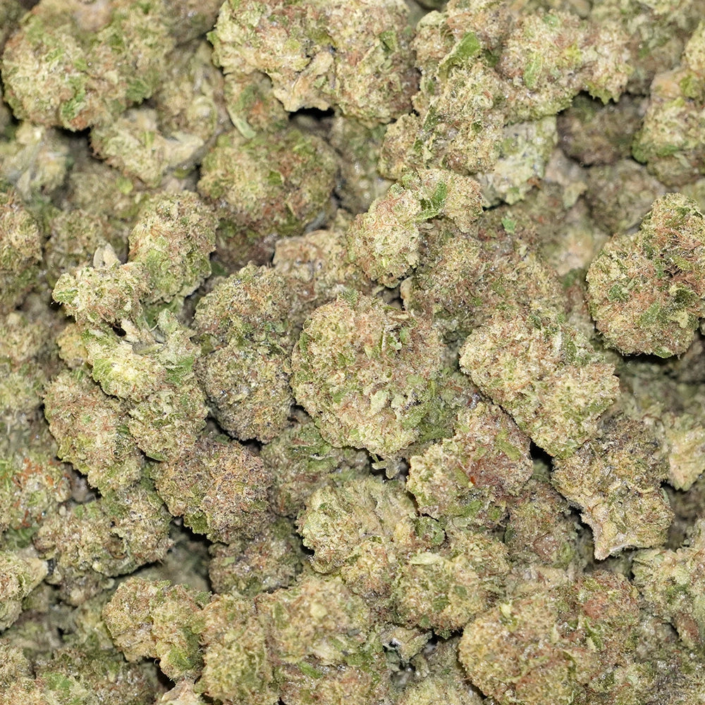 Watermelon Milkshake