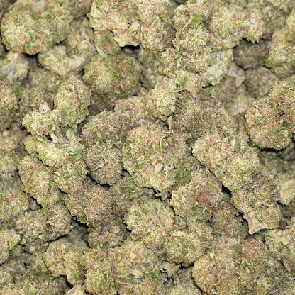 Watermelon Milkshake