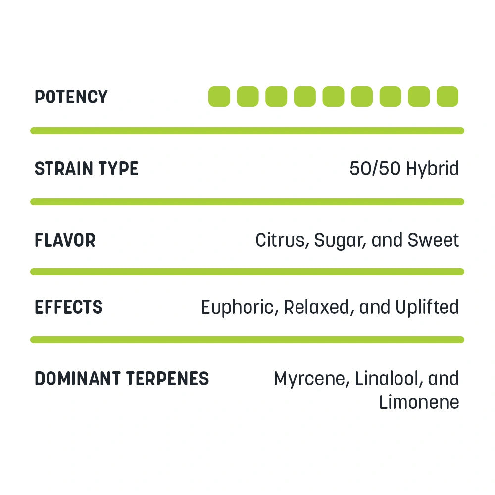 Watermelon Milkshake