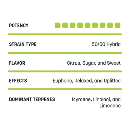 Watermelon Milkshake