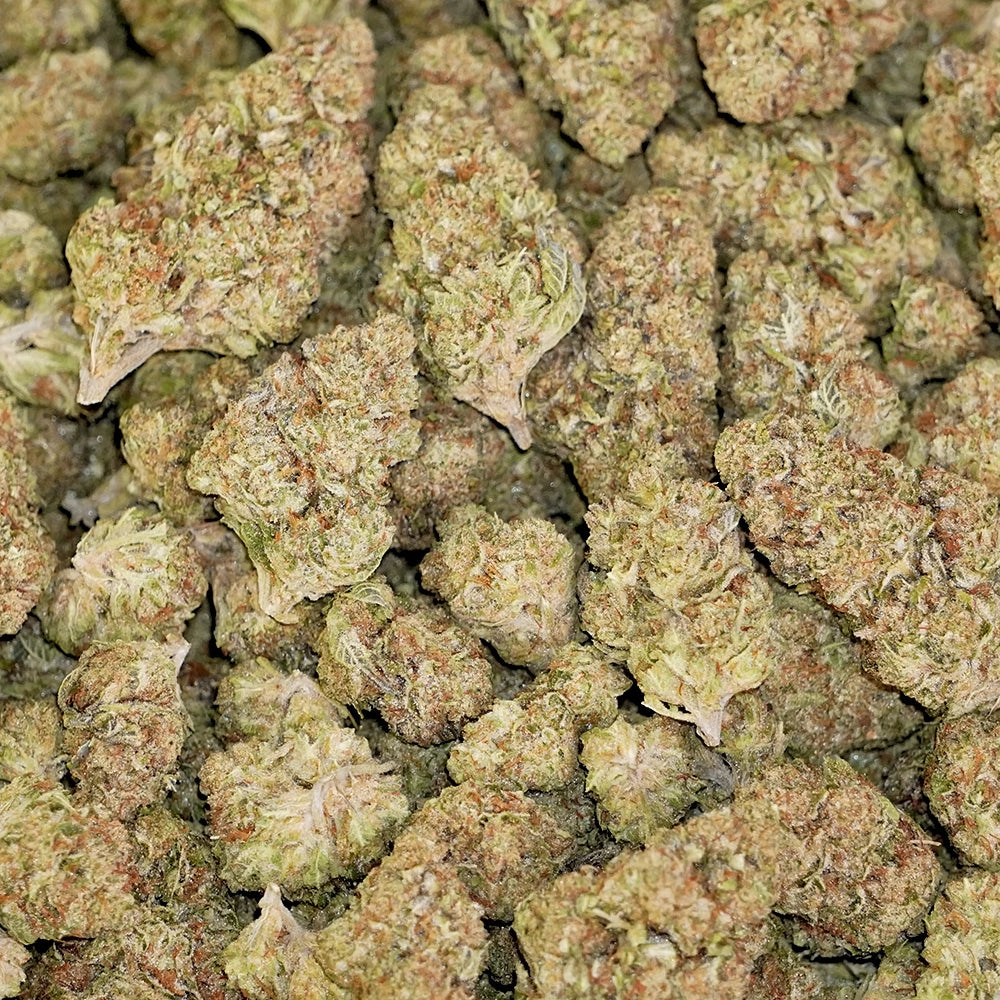Wedding Glue