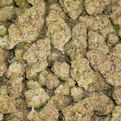 Wedding Glue