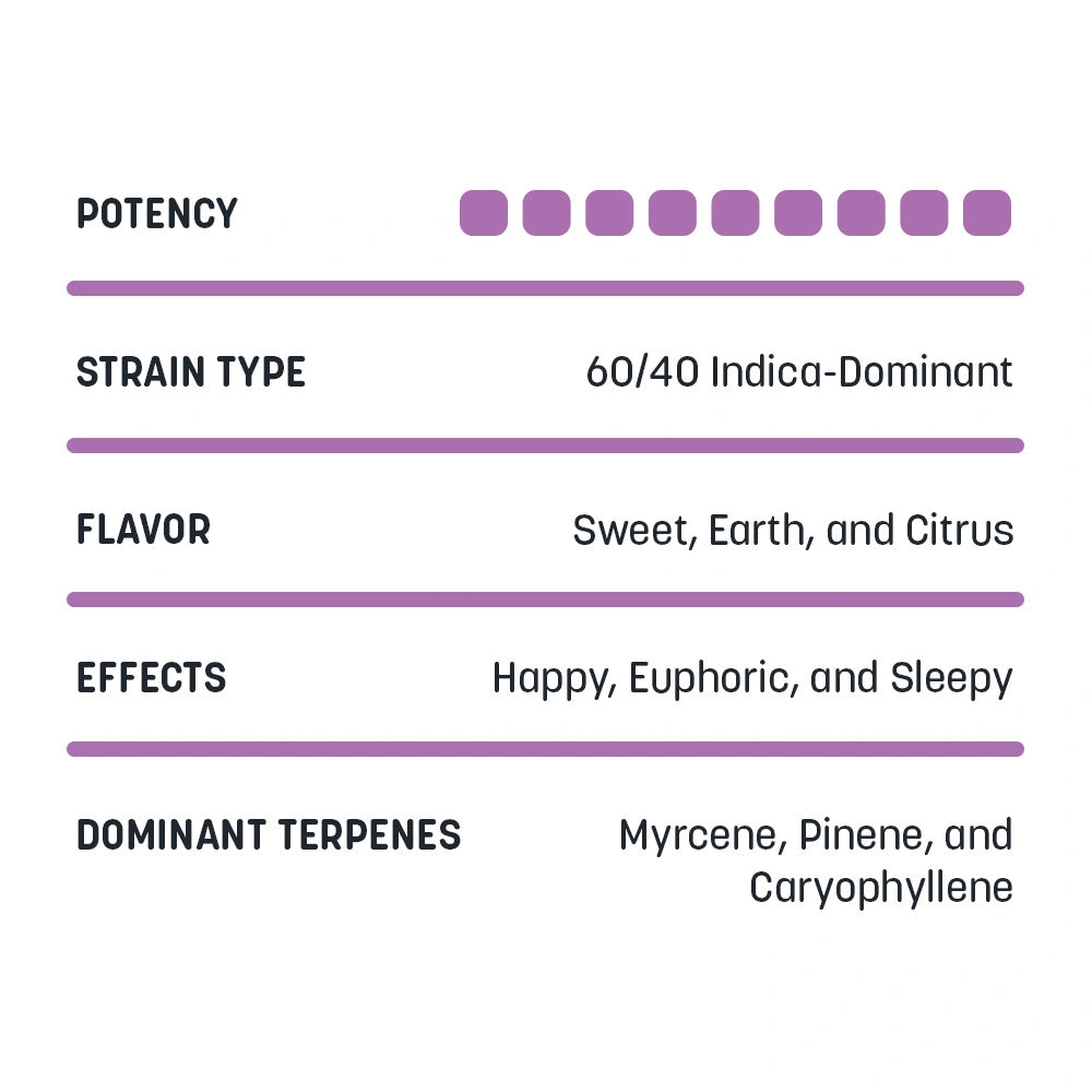 Wedding Glue