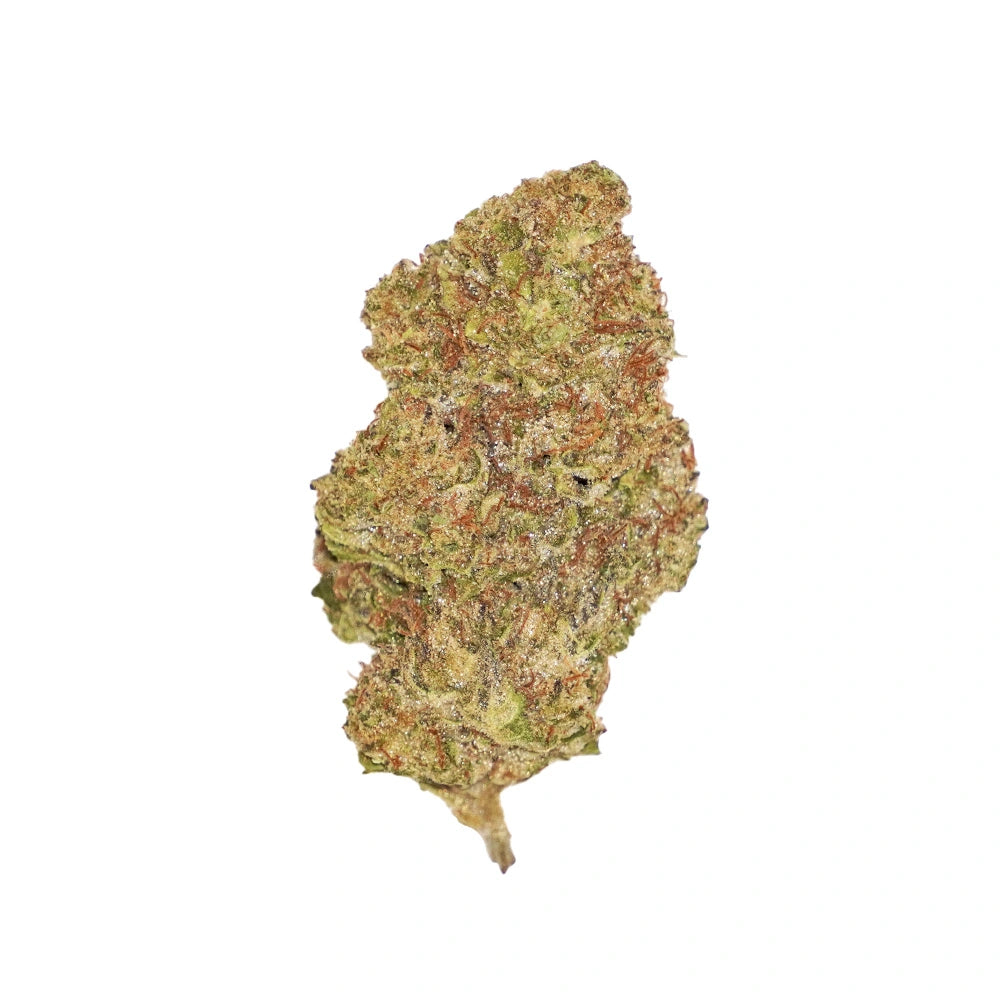 Wedding Glue