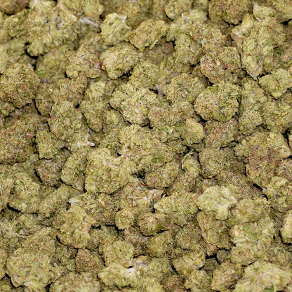 White Skunk