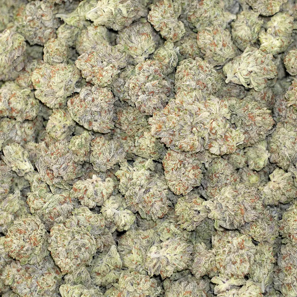 Bulk Flower - White Truffle