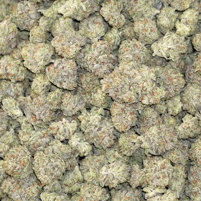 White Truffle