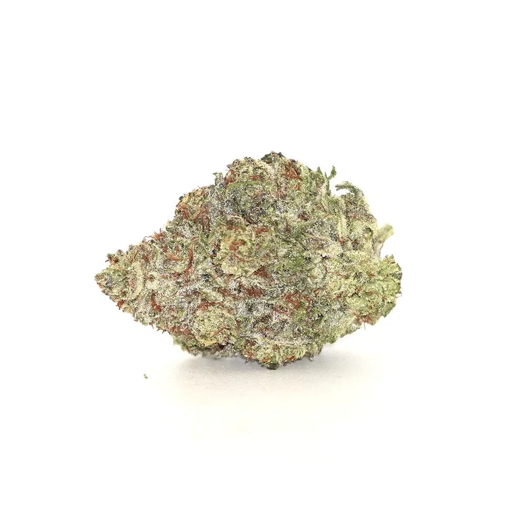White Truffle
