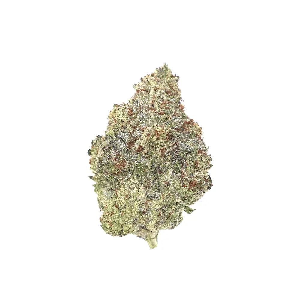 Bulk Flower - White Truffle