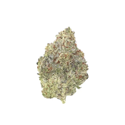 White Truffle