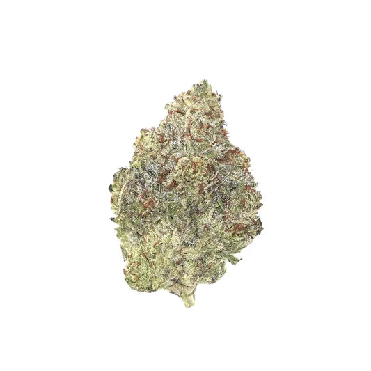 White Truffle