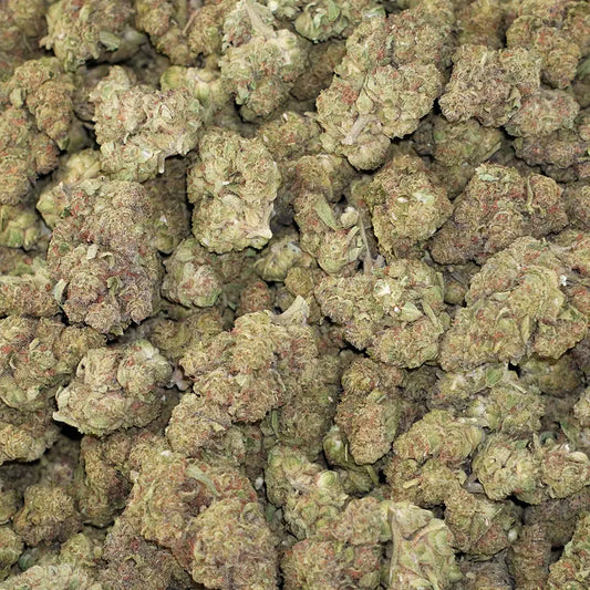 Bulk Flower - Zultan - Seeded